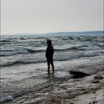 Avery Magill - Facebook