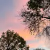 Avery Martinez - @avery.martinez45 - TikTok