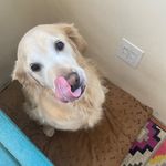 Avery Massey - @avery_massey406 - Instagram