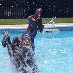 Avery Massey - @avery_the_gsp - Instagram
