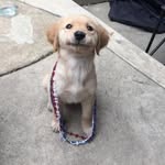 Avery matheson - @a_very_nice_day - Instagram