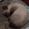 avery matlock - @a.m55163 - TikTok