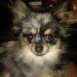 Angie Avery Mayfield - @agbglc2015 - Instagram