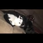 Avery McCullough - @avery_cosmo - Instagram