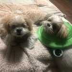 MCKEE - @avery.mckee78 - Instagram