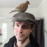 Avery McLean - @averys.avians - Instagram