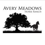 Avery Meadows Horse Ranch - @averymeadowshorse - Instagram