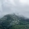 AveryMeadows - @averymeadows8 - TikTok