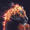Averi Meeks - @averimeeks - TikTok