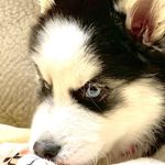 Avery - @avery_mee.ks - Instagram