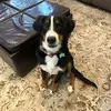 Avery Meeks - @avery.meeks - TikTok