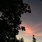 Avery Meeks - @averymeeks679 - Instagram