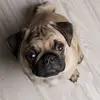 averymichel - @averymichel8 - TikTok
