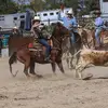 Avery_Miller_06 - @averymiller2006 - TikTok