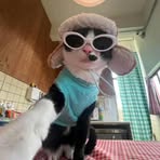 Avery Pan - Facebook