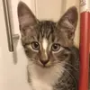 ava.pickering - @ava.pickering - TikTok