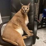 Averie Pickering - @bigfloppa25 - Instagram