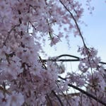 Avery Pollard - @photographynaturewalks - Instagram