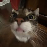 Avery - @avery.poole1 - Instagram