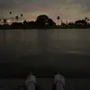 Avery Ramos - @averyramos0 - TikTok