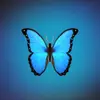 avery_reece - @avery_reece1123 - TikTok
