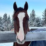 Avery Reiter - Facebook