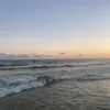 Avery Riner - @aveshavoc.44 - TikTok