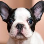 Avery Roach - @roach7271 - Instagram