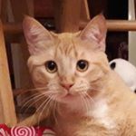 Avery :) - @avery.c.roan - Instagram