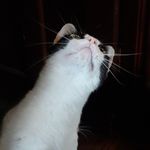 avery roan - @scaredy_skittles - Instagram