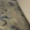 averyroche22 - @averyroche22 - TikTok