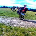 @rocheford_3229__avery - Instagram