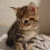 averyrocks1 - @averyrocks1 - TikTok
