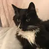Avery rocks - @smarchand5 - TikTok