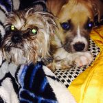 Avery Marie Romero - @tyson_rozy - Instagram