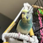 Avery Rosin - Facebook