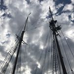 Ave - @avery_rowe - Instagram