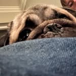 Avery Rowell - @rowell.avery - Instagram