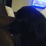 Avery Rudolph - Facebook