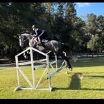 Avery Rush - @akr._eventing - Instagram