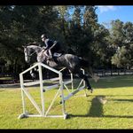 Avery Rush - @avery_rush23 - Instagram