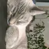 averysage - @_averysage_ - TikTok