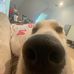 Avery Sams - Facebook