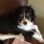 Sammy Swain - @samsonavery - Instagram