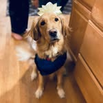 Avery sanborn - @averysanbor - Instagram