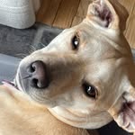 Avery Sanderson - @sandersonavery - Instagram