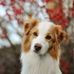 Avery Saul - Facebook