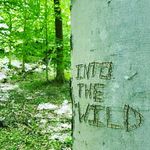 Avery Schroeder - @everydayphotography.15 - Instagram