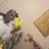 ioverthinktomuch - @averysentivegirl - TikTok