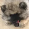 Avery Sexton - @avery.spam.account1 - TikTok